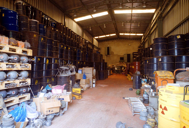 Бурад из хангара у Винчи - на ливади